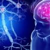Huntington, Parkinson, Alzheimer, SLA: principali analogie e differenze