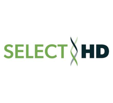 logo select HD
